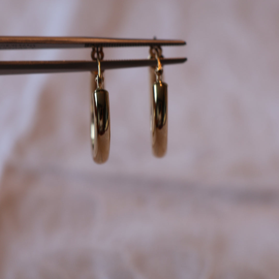 Small Gold Hoops